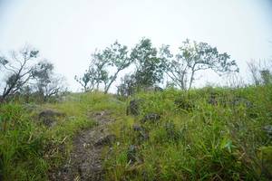 BIB: 
                            <button type="button" onclick="openModal(25094756)" class="btn btn-primary btn-sm float-right btn-popup" data-toggle="modal" data-target=".modal-high-quality">
                        <i class="fas fa-shopping-cart"></i> Add to Cart
                    </button>
                                            <button type="button" onclick="isThisMe(25094756, true)" class="btn btn-success btn-sm float-right btn-popup btn-isme hidden" data-toggle="tooltip" data-placement="bottom" title="นี่คือรูปของคุณใช่ไหม คลิกที่นี่เพื่อเอาเข้าอัลบั้ม">
                        <i class="fas fa-plus"></i> Add to album
                    </button>
                    <button type="button" onclick="isThisMe(25094756, false)" class="btn btn-warning btn-sm float-right btn-popup btn-isnotme hidden">
                        <i class="fas fa-ban"></i> Remove from album
                    </button>