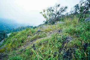 BIB: 
                            <button type="button" onclick="openModal(25096273)" class="btn btn-primary btn-sm float-right btn-popup" data-toggle="modal" data-target=".modal-high-quality">
                        <i class="fas fa-shopping-cart"></i> Add to Cart
                    </button>
                                            <button type="button" onclick="isThisMe(25096273, true)" class="btn btn-success btn-sm float-right btn-popup btn-isme hidden" data-toggle="tooltip" data-placement="bottom" title="นี่คือรูปของคุณใช่ไหม คลิกที่นี่เพื่อเอาเข้าอัลบั้ม">
                        <i class="fas fa-plus"></i> Add to album
                    </button>
                    <button type="button" onclick="isThisMe(25096273, false)" class="btn btn-warning btn-sm float-right btn-popup btn-isnotme hidden">
                        <i class="fas fa-ban"></i> Remove from album
                    </button>