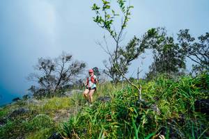 BIB: 
                            <button type="button" onclick="openModal(25095761)" class="btn btn-primary btn-sm float-right btn-popup" data-toggle="modal" data-target=".modal-high-quality">
                        <i class="fas fa-shopping-cart"></i> Add to Cart
                    </button>
                                            <button type="button" onclick="isThisMe(25095761, true)" class="btn btn-success btn-sm float-right btn-popup btn-isme hidden" data-toggle="tooltip" data-placement="bottom" title="นี่คือรูปของคุณใช่ไหม คลิกที่นี่เพื่อเอาเข้าอัลบั้ม">
                        <i class="fas fa-plus"></i> Add to album
                    </button>
                    <button type="button" onclick="isThisMe(25095761, false)" class="btn btn-warning btn-sm float-right btn-popup btn-isnotme hidden">
                        <i class="fas fa-ban"></i> Remove from album
                    </button>