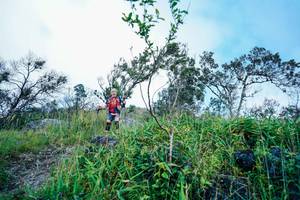 BIB: 
                            <button type="button" onclick="openModal(25098504)" class="btn btn-primary btn-sm float-right btn-popup" data-toggle="modal" data-target=".modal-high-quality">
                        <i class="fas fa-shopping-cart"></i> Add to Cart
                    </button>
                                            <button type="button" onclick="isThisMe(25098504, true)" class="btn btn-success btn-sm float-right btn-popup btn-isme hidden" data-toggle="tooltip" data-placement="bottom" title="นี่คือรูปของคุณใช่ไหม คลิกที่นี่เพื่อเอาเข้าอัลบั้ม">
                        <i class="fas fa-plus"></i> Add to album
                    </button>
                    <button type="button" onclick="isThisMe(25098504, false)" class="btn btn-warning btn-sm float-right btn-popup btn-isnotme hidden">
                        <i class="fas fa-ban"></i> Remove from album
                    </button>