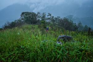 BIB: 
                            <button type="button" onclick="openModal(25095433)" class="btn btn-primary btn-sm float-right btn-popup" data-toggle="modal" data-target=".modal-high-quality">
                        <i class="fas fa-shopping-cart"></i> Add to Cart
                    </button>
                                            <button type="button" onclick="isThisMe(25095433, true)" class="btn btn-success btn-sm float-right btn-popup btn-isme hidden" data-toggle="tooltip" data-placement="bottom" title="นี่คือรูปของคุณใช่ไหม คลิกที่นี่เพื่อเอาเข้าอัลบั้ม">
                        <i class="fas fa-plus"></i> Add to album
                    </button>
                    <button type="button" onclick="isThisMe(25095433, false)" class="btn btn-warning btn-sm float-right btn-popup btn-isnotme hidden">
                        <i class="fas fa-ban"></i> Remove from album
                    </button>