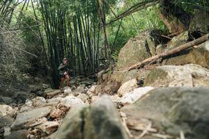 BIB: 
                            <button type="button" onclick="openModal(27938826)" class="btn btn-primary btn-sm float-right btn-popup" data-toggle="modal" data-target=".modal-high-quality">
                        <i class="fas fa-shopping-cart"></i> Add to Cart
                    </button>
                                            <button type="button" onclick="isThisMe(27938826, true)" class="btn btn-success btn-sm float-right btn-popup btn-isme hidden" data-toggle="tooltip" data-placement="bottom" title="นี่คือรูปของคุณใช่ไหม คลิกที่นี่เพื่อเอาเข้าอัลบั้ม">
                        <i class="fas fa-plus"></i> Add to album
                    </button>
                    <button type="button" onclick="isThisMe(27938826, false)" class="btn btn-warning btn-sm float-right btn-popup btn-isnotme hidden">
                        <i class="fas fa-ban"></i> Remove from album
                    </button>