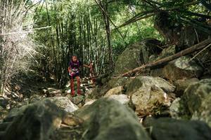 BIB: 
                            <button type="button" onclick="openModal(27939963)" class="btn btn-primary btn-sm float-right btn-popup" data-toggle="modal" data-target=".modal-high-quality">
                        <i class="fas fa-shopping-cart"></i> Add to Cart
                    </button>
                                            <button type="button" onclick="isThisMe(27939963, true)" class="btn btn-success btn-sm float-right btn-popup btn-isme hidden" data-toggle="tooltip" data-placement="bottom" title="นี่คือรูปของคุณใช่ไหม คลิกที่นี่เพื่อเอาเข้าอัลบั้ม">
                        <i class="fas fa-plus"></i> Add to album
                    </button>
                    <button type="button" onclick="isThisMe(27939963, false)" class="btn btn-warning btn-sm float-right btn-popup btn-isnotme hidden">
                        <i class="fas fa-ban"></i> Remove from album
                    </button>