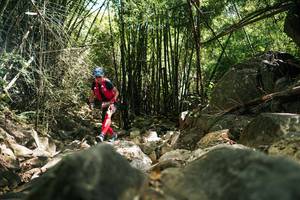 BIB: 
                            <button type="button" onclick="openModal(27938632)" class="btn btn-primary btn-sm float-right btn-popup" data-toggle="modal" data-target=".modal-high-quality">
                        <i class="fas fa-shopping-cart"></i> Add to Cart
                    </button>
                                            <button type="button" onclick="isThisMe(27938632, true)" class="btn btn-success btn-sm float-right btn-popup btn-isme hidden" data-toggle="tooltip" data-placement="bottom" title="นี่คือรูปของคุณใช่ไหม คลิกที่นี่เพื่อเอาเข้าอัลบั้ม">
                        <i class="fas fa-plus"></i> Add to album
                    </button>
                    <button type="button" onclick="isThisMe(27938632, false)" class="btn btn-warning btn-sm float-right btn-popup btn-isnotme hidden">
                        <i class="fas fa-ban"></i> Remove from album
                    </button>