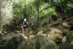 BIB: 
                            <button type="button" onclick="openModal(27940052)" class="btn btn-primary btn-sm float-right btn-popup" data-toggle="modal" data-target=".modal-high-quality">
                        <i class="fas fa-shopping-cart"></i> Add to Cart
                    </button>
                                            <button type="button" onclick="isThisMe(27940052, true)" class="btn btn-success btn-sm float-right btn-popup btn-isme hidden" data-toggle="tooltip" data-placement="bottom" title="นี่คือรูปของคุณใช่ไหม คลิกที่นี่เพื่อเอาเข้าอัลบั้ม">
                        <i class="fas fa-plus"></i> Add to album
                    </button>
                    <button type="button" onclick="isThisMe(27940052, false)" class="btn btn-warning btn-sm float-right btn-popup btn-isnotme hidden">
                        <i class="fas fa-ban"></i> Remove from album
                    </button>