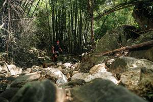 BIB: 
                            <button type="button" onclick="openModal(27938694)" class="btn btn-primary btn-sm float-right btn-popup" data-toggle="modal" data-target=".modal-high-quality">
                        <i class="fas fa-shopping-cart"></i> Add to Cart
                    </button>
                                            <button type="button" onclick="isThisMe(27938694, true)" class="btn btn-success btn-sm float-right btn-popup btn-isme hidden" data-toggle="tooltip" data-placement="bottom" title="นี่คือรูปของคุณใช่ไหม คลิกที่นี่เพื่อเอาเข้าอัลบั้ม">
                        <i class="fas fa-plus"></i> Add to album
                    </button>
                    <button type="button" onclick="isThisMe(27938694, false)" class="btn btn-warning btn-sm float-right btn-popup btn-isnotme hidden">
                        <i class="fas fa-ban"></i> Remove from album
                    </button>