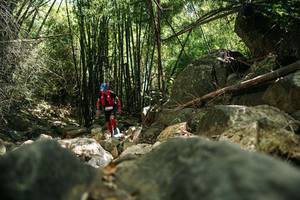 BIB: 
                            <button type="button" onclick="openModal(27938626)" class="btn btn-primary btn-sm float-right btn-popup" data-toggle="modal" data-target=".modal-high-quality">
                        <i class="fas fa-shopping-cart"></i> Add to Cart
                    </button>
                                            <button type="button" onclick="isThisMe(27938626, true)" class="btn btn-success btn-sm float-right btn-popup btn-isme hidden" data-toggle="tooltip" data-placement="bottom" title="นี่คือรูปของคุณใช่ไหม คลิกที่นี่เพื่อเอาเข้าอัลบั้ม">
                        <i class="fas fa-plus"></i> Add to album
                    </button>
                    <button type="button" onclick="isThisMe(27938626, false)" class="btn btn-warning btn-sm float-right btn-popup btn-isnotme hidden">
                        <i class="fas fa-ban"></i> Remove from album
                    </button>