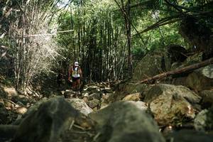 BIB: 
                            <button type="button" onclick="openModal(27939901)" class="btn btn-primary btn-sm float-right btn-popup" data-toggle="modal" data-target=".modal-high-quality">
                        <i class="fas fa-shopping-cart"></i> Add to Cart
                    </button>
                                            <button type="button" onclick="isThisMe(27939901, true)" class="btn btn-success btn-sm float-right btn-popup btn-isme hidden" data-toggle="tooltip" data-placement="bottom" title="นี่คือรูปของคุณใช่ไหม คลิกที่นี่เพื่อเอาเข้าอัลบั้ม">
                        <i class="fas fa-plus"></i> Add to album
                    </button>
                    <button type="button" onclick="isThisMe(27939901, false)" class="btn btn-warning btn-sm float-right btn-popup btn-isnotme hidden">
                        <i class="fas fa-ban"></i> Remove from album
                    </button>