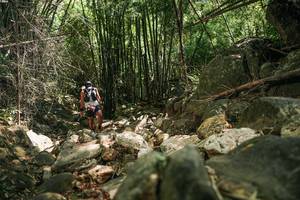 BIB: 
                            <button type="button" onclick="openModal(27938784)" class="btn btn-primary btn-sm float-right btn-popup" data-toggle="modal" data-target=".modal-high-quality">
                        <i class="fas fa-shopping-cart"></i> Add to Cart
                    </button>
                                            <button type="button" onclick="isThisMe(27938784, true)" class="btn btn-success btn-sm float-right btn-popup btn-isme hidden" data-toggle="tooltip" data-placement="bottom" title="นี่คือรูปของคุณใช่ไหม คลิกที่นี่เพื่อเอาเข้าอัลบั้ม">
                        <i class="fas fa-plus"></i> Add to album
                    </button>
                    <button type="button" onclick="isThisMe(27938784, false)" class="btn btn-warning btn-sm float-right btn-popup btn-isnotme hidden">
                        <i class="fas fa-ban"></i> Remove from album
                    </button>