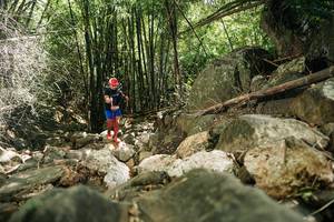 BIB: 
                            <button type="button" onclick="openModal(27939126)" class="btn btn-primary btn-sm float-right btn-popup" data-toggle="modal" data-target=".modal-high-quality">
                        <i class="fas fa-shopping-cart"></i> Add to Cart
                    </button>
                                            <button type="button" onclick="isThisMe(27939126, true)" class="btn btn-success btn-sm float-right btn-popup btn-isme hidden" data-toggle="tooltip" data-placement="bottom" title="นี่คือรูปของคุณใช่ไหม คลิกที่นี่เพื่อเอาเข้าอัลบั้ม">
                        <i class="fas fa-plus"></i> Add to album
                    </button>
                    <button type="button" onclick="isThisMe(27939126, false)" class="btn btn-warning btn-sm float-right btn-popup btn-isnotme hidden">
                        <i class="fas fa-ban"></i> Remove from album
                    </button>