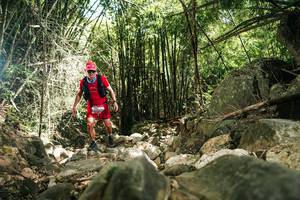 BIB: 
                            <button type="button" onclick="openModal(27939121)" class="btn btn-primary btn-sm float-right btn-popup" data-toggle="modal" data-target=".modal-high-quality">
                        <i class="fas fa-shopping-cart"></i> Add to Cart
                    </button>
                                            <button type="button" onclick="isThisMe(27939121, true)" class="btn btn-success btn-sm float-right btn-popup btn-isme hidden" data-toggle="tooltip" data-placement="bottom" title="นี่คือรูปของคุณใช่ไหม คลิกที่นี่เพื่อเอาเข้าอัลบั้ม">
                        <i class="fas fa-plus"></i> Add to album
                    </button>
                    <button type="button" onclick="isThisMe(27939121, false)" class="btn btn-warning btn-sm float-right btn-popup btn-isnotme hidden">
                        <i class="fas fa-ban"></i> Remove from album
                    </button>