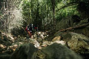 BIB: 
                            <button type="button" onclick="openModal(27939572)" class="btn btn-primary btn-sm float-right btn-popup" data-toggle="modal" data-target=".modal-high-quality">
                        <i class="fas fa-shopping-cart"></i> Add to Cart
                    </button>
                                            <button type="button" onclick="isThisMe(27939572, true)" class="btn btn-success btn-sm float-right btn-popup btn-isme hidden" data-toggle="tooltip" data-placement="bottom" title="นี่คือรูปของคุณใช่ไหม คลิกที่นี่เพื่อเอาเข้าอัลบั้ม">
                        <i class="fas fa-plus"></i> Add to album
                    </button>
                    <button type="button" onclick="isThisMe(27939572, false)" class="btn btn-warning btn-sm float-right btn-popup btn-isnotme hidden">
                        <i class="fas fa-ban"></i> Remove from album
                    </button>