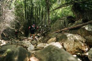 BIB: 
                            <button type="button" onclick="openModal(27939338)" class="btn btn-primary btn-sm float-right btn-popup" data-toggle="modal" data-target=".modal-high-quality">
                        <i class="fas fa-shopping-cart"></i> Add to Cart
                    </button>
                                            <button type="button" onclick="isThisMe(27939338, true)" class="btn btn-success btn-sm float-right btn-popup btn-isme hidden" data-toggle="tooltip" data-placement="bottom" title="นี่คือรูปของคุณใช่ไหม คลิกที่นี่เพื่อเอาเข้าอัลบั้ม">
                        <i class="fas fa-plus"></i> Add to album
                    </button>
                    <button type="button" onclick="isThisMe(27939338, false)" class="btn btn-warning btn-sm float-right btn-popup btn-isnotme hidden">
                        <i class="fas fa-ban"></i> Remove from album
                    </button>