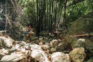 BIB: 
                            <button type="button" onclick="openModal(27938590)" class="btn btn-primary btn-sm float-right btn-popup" data-toggle="modal" data-target=".modal-high-quality">
                        <i class="fas fa-shopping-cart"></i> Add to Cart
                    </button>
                                            <button type="button" onclick="isThisMe(27938590, true)" class="btn btn-success btn-sm float-right btn-popup btn-isme hidden" data-toggle="tooltip" data-placement="bottom" title="นี่คือรูปของคุณใช่ไหม คลิกที่นี่เพื่อเอาเข้าอัลบั้ม">
                        <i class="fas fa-plus"></i> Add to album
                    </button>
                    <button type="button" onclick="isThisMe(27938590, false)" class="btn btn-warning btn-sm float-right btn-popup btn-isnotme hidden">
                        <i class="fas fa-ban"></i> Remove from album
                    </button>