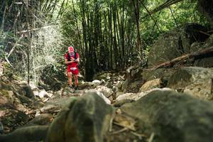 BIB: 
                            <button type="button" onclick="openModal(27939113)" class="btn btn-primary btn-sm float-right btn-popup" data-toggle="modal" data-target=".modal-high-quality">
                        <i class="fas fa-shopping-cart"></i> Add to Cart
                    </button>
                                            <button type="button" onclick="isThisMe(27939113, true)" class="btn btn-success btn-sm float-right btn-popup btn-isme hidden" data-toggle="tooltip" data-placement="bottom" title="นี่คือรูปของคุณใช่ไหม คลิกที่นี่เพื่อเอาเข้าอัลบั้ม">
                        <i class="fas fa-plus"></i> Add to album
                    </button>
                    <button type="button" onclick="isThisMe(27939113, false)" class="btn btn-warning btn-sm float-right btn-popup btn-isnotme hidden">
                        <i class="fas fa-ban"></i> Remove from album
                    </button>