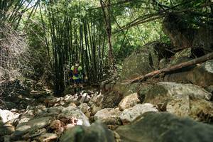 BIB: 
                            <button type="button" onclick="openModal(27938930)" class="btn btn-primary btn-sm float-right btn-popup" data-toggle="modal" data-target=".modal-high-quality">
                        <i class="fas fa-shopping-cart"></i> Add to Cart
                    </button>
                                            <button type="button" onclick="isThisMe(27938930, true)" class="btn btn-success btn-sm float-right btn-popup btn-isme hidden" data-toggle="tooltip" data-placement="bottom" title="นี่คือรูปของคุณใช่ไหม คลิกที่นี่เพื่อเอาเข้าอัลบั้ม">
                        <i class="fas fa-plus"></i> Add to album
                    </button>
                    <button type="button" onclick="isThisMe(27938930, false)" class="btn btn-warning btn-sm float-right btn-popup btn-isnotme hidden">
                        <i class="fas fa-ban"></i> Remove from album
                    </button>