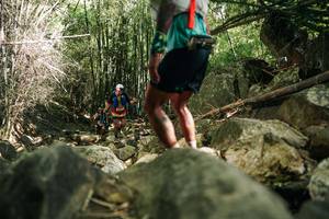 BIB: 
                            <button type="button" onclick="openModal(27940088)" class="btn btn-primary btn-sm float-right btn-popup" data-toggle="modal" data-target=".modal-high-quality">
                        <i class="fas fa-shopping-cart"></i> Add to Cart
                    </button>
                                            <button type="button" onclick="isThisMe(27940088, true)" class="btn btn-success btn-sm float-right btn-popup btn-isme hidden" data-toggle="tooltip" data-placement="bottom" title="นี่คือรูปของคุณใช่ไหม คลิกที่นี่เพื่อเอาเข้าอัลบั้ม">
                        <i class="fas fa-plus"></i> Add to album
                    </button>
                    <button type="button" onclick="isThisMe(27940088, false)" class="btn btn-warning btn-sm float-right btn-popup btn-isnotme hidden">
                        <i class="fas fa-ban"></i> Remove from album
                    </button>