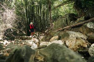 BIB: 
                            <button type="button" onclick="openModal(27939064)" class="btn btn-primary btn-sm float-right btn-popup" data-toggle="modal" data-target=".modal-high-quality">
                        <i class="fas fa-shopping-cart"></i> Add to Cart
                    </button>
                                            <button type="button" onclick="isThisMe(27939064, true)" class="btn btn-success btn-sm float-right btn-popup btn-isme hidden" data-toggle="tooltip" data-placement="bottom" title="นี่คือรูปของคุณใช่ไหม คลิกที่นี่เพื่อเอาเข้าอัลบั้ม">
                        <i class="fas fa-plus"></i> Add to album
                    </button>
                    <button type="button" onclick="isThisMe(27939064, false)" class="btn btn-warning btn-sm float-right btn-popup btn-isnotme hidden">
                        <i class="fas fa-ban"></i> Remove from album
                    </button>