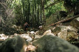 BIB: 
                            <button type="button" onclick="openModal(27938678)" class="btn btn-primary btn-sm float-right btn-popup" data-toggle="modal" data-target=".modal-high-quality">
                        <i class="fas fa-shopping-cart"></i> Add to Cart
                    </button>
                                            <button type="button" onclick="isThisMe(27938678, true)" class="btn btn-success btn-sm float-right btn-popup btn-isme hidden" data-toggle="tooltip" data-placement="bottom" title="นี่คือรูปของคุณใช่ไหม คลิกที่นี่เพื่อเอาเข้าอัลบั้ม">
                        <i class="fas fa-plus"></i> Add to album
                    </button>
                    <button type="button" onclick="isThisMe(27938678, false)" class="btn btn-warning btn-sm float-right btn-popup btn-isnotme hidden">
                        <i class="fas fa-ban"></i> Remove from album
                    </button>