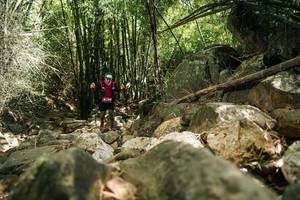 BIB: 
                            <button type="button" onclick="openModal(27939353)" class="btn btn-primary btn-sm float-right btn-popup" data-toggle="modal" data-target=".modal-high-quality">
                        <i class="fas fa-shopping-cart"></i> Add to Cart
                    </button>
                                            <button type="button" onclick="isThisMe(27939353, true)" class="btn btn-success btn-sm float-right btn-popup btn-isme hidden" data-toggle="tooltip" data-placement="bottom" title="นี่คือรูปของคุณใช่ไหม คลิกที่นี่เพื่อเอาเข้าอัลบั้ม">
                        <i class="fas fa-plus"></i> Add to album
                    </button>
                    <button type="button" onclick="isThisMe(27939353, false)" class="btn btn-warning btn-sm float-right btn-popup btn-isnotme hidden">
                        <i class="fas fa-ban"></i> Remove from album
                    </button>