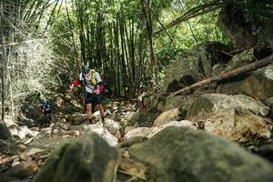 BIB: 
                            <button type="button" onclick="openModal(27939087)" class="btn btn-primary btn-sm float-right btn-popup" data-toggle="modal" data-target=".modal-high-quality">
                        <i class="fas fa-shopping-cart"></i> Add to Cart
                    </button>
                                            <button type="button" onclick="isThisMe(27939087, true)" class="btn btn-success btn-sm float-right btn-popup btn-isme hidden" data-toggle="tooltip" data-placement="bottom" title="นี่คือรูปของคุณใช่ไหม คลิกที่นี่เพื่อเอาเข้าอัลบั้ม">
                        <i class="fas fa-plus"></i> Add to album
                    </button>
                    <button type="button" onclick="isThisMe(27939087, false)" class="btn btn-warning btn-sm float-right btn-popup btn-isnotme hidden">
                        <i class="fas fa-ban"></i> Remove from album
                    </button>