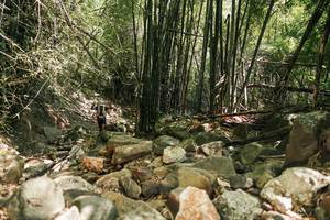 BIB: 
                            <button type="button" onclick="openModal(27938555)" class="btn btn-primary btn-sm float-right btn-popup" data-toggle="modal" data-target=".modal-high-quality">
                        <i class="fas fa-shopping-cart"></i> Add to Cart
                    </button>
                                            <button type="button" onclick="isThisMe(27938555, true)" class="btn btn-success btn-sm float-right btn-popup btn-isme hidden" data-toggle="tooltip" data-placement="bottom" title="นี่คือรูปของคุณใช่ไหม คลิกที่นี่เพื่อเอาเข้าอัลบั้ม">
                        <i class="fas fa-plus"></i> Add to album
                    </button>
                    <button type="button" onclick="isThisMe(27938555, false)" class="btn btn-warning btn-sm float-right btn-popup btn-isnotme hidden">
                        <i class="fas fa-ban"></i> Remove from album
                    </button>