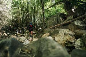 BIB: 
                            <button type="button" onclick="openModal(27940301)" class="btn btn-primary btn-sm float-right btn-popup" data-toggle="modal" data-target=".modal-high-quality">
                        <i class="fas fa-shopping-cart"></i> Add to Cart
                    </button>
                                            <button type="button" onclick="isThisMe(27940301, true)" class="btn btn-success btn-sm float-right btn-popup btn-isme hidden" data-toggle="tooltip" data-placement="bottom" title="นี่คือรูปของคุณใช่ไหม คลิกที่นี่เพื่อเอาเข้าอัลบั้ม">
                        <i class="fas fa-plus"></i> Add to album
                    </button>
                    <button type="button" onclick="isThisMe(27940301, false)" class="btn btn-warning btn-sm float-right btn-popup btn-isnotme hidden">
                        <i class="fas fa-ban"></i> Remove from album
                    </button>