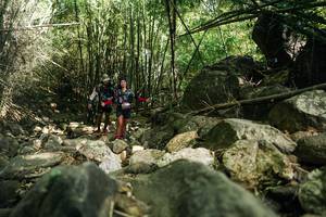 BIB: 
                            <button type="button" onclick="openModal(27940722)" class="btn btn-primary btn-sm float-right btn-popup" data-toggle="modal" data-target=".modal-high-quality">
                        <i class="fas fa-shopping-cart"></i> Add to Cart
                    </button>
                                            <button type="button" onclick="isThisMe(27940722, true)" class="btn btn-success btn-sm float-right btn-popup btn-isme hidden" data-toggle="tooltip" data-placement="bottom" title="นี่คือรูปของคุณใช่ไหม คลิกที่นี่เพื่อเอาเข้าอัลบั้ม">
                        <i class="fas fa-plus"></i> Add to album
                    </button>
                    <button type="button" onclick="isThisMe(27940722, false)" class="btn btn-warning btn-sm float-right btn-popup btn-isnotme hidden">
                        <i class="fas fa-ban"></i> Remove from album
                    </button>