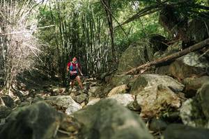 BIB: 
                            <button type="button" onclick="openModal(27940071)" class="btn btn-primary btn-sm float-right btn-popup" data-toggle="modal" data-target=".modal-high-quality">
                        <i class="fas fa-shopping-cart"></i> Add to Cart
                    </button>
                                            <button type="button" onclick="isThisMe(27940071, true)" class="btn btn-success btn-sm float-right btn-popup btn-isme hidden" data-toggle="tooltip" data-placement="bottom" title="นี่คือรูปของคุณใช่ไหม คลิกที่นี่เพื่อเอาเข้าอัลบั้ม">
                        <i class="fas fa-plus"></i> Add to album
                    </button>
                    <button type="button" onclick="isThisMe(27940071, false)" class="btn btn-warning btn-sm float-right btn-popup btn-isnotme hidden">
                        <i class="fas fa-ban"></i> Remove from album
                    </button>