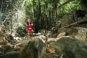 BIB: 
                            <button type="button" onclick="openModal(27939114)" class="btn btn-primary btn-sm float-right btn-popup" data-toggle="modal" data-target=".modal-high-quality">
                        <i class="fas fa-shopping-cart"></i> Add to Cart
                    </button>
                                            <button type="button" onclick="isThisMe(27939114, true)" class="btn btn-success btn-sm float-right btn-popup btn-isme hidden" data-toggle="tooltip" data-placement="bottom" title="นี่คือรูปของคุณใช่ไหม คลิกที่นี่เพื่อเอาเข้าอัลบั้ม">
                        <i class="fas fa-plus"></i> Add to album
                    </button>
                    <button type="button" onclick="isThisMe(27939114, false)" class="btn btn-warning btn-sm float-right btn-popup btn-isnotme hidden">
                        <i class="fas fa-ban"></i> Remove from album
                    </button>