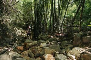 BIB: 
                            <button type="button" onclick="openModal(27938562)" class="btn btn-primary btn-sm float-right btn-popup" data-toggle="modal" data-target=".modal-high-quality">
                        <i class="fas fa-shopping-cart"></i> Add to Cart
                    </button>
                                            <button type="button" onclick="isThisMe(27938562, true)" class="btn btn-success btn-sm float-right btn-popup btn-isme hidden" data-toggle="tooltip" data-placement="bottom" title="นี่คือรูปของคุณใช่ไหม คลิกที่นี่เพื่อเอาเข้าอัลบั้ม">
                        <i class="fas fa-plus"></i> Add to album
                    </button>
                    <button type="button" onclick="isThisMe(27938562, false)" class="btn btn-warning btn-sm float-right btn-popup btn-isnotme hidden">
                        <i class="fas fa-ban"></i> Remove from album
                    </button>