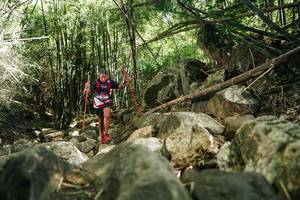 BIB: 
                            <button type="button" onclick="openModal(27939969)" class="btn btn-primary btn-sm float-right btn-popup" data-toggle="modal" data-target=".modal-high-quality">
                        <i class="fas fa-shopping-cart"></i> Add to Cart
                    </button>
                                            <button type="button" onclick="isThisMe(27939969, true)" class="btn btn-success btn-sm float-right btn-popup btn-isme hidden" data-toggle="tooltip" data-placement="bottom" title="นี่คือรูปของคุณใช่ไหม คลิกที่นี่เพื่อเอาเข้าอัลบั้ม">
                        <i class="fas fa-plus"></i> Add to album
                    </button>
                    <button type="button" onclick="isThisMe(27939969, false)" class="btn btn-warning btn-sm float-right btn-popup btn-isnotme hidden">
                        <i class="fas fa-ban"></i> Remove from album
                    </button>