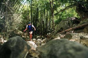 BIB: 
                            <button type="button" onclick="openModal(27938713)" class="btn btn-primary btn-sm float-right btn-popup" data-toggle="modal" data-target=".modal-high-quality">
                        <i class="fas fa-shopping-cart"></i> Add to Cart
                    </button>
                                            <button type="button" onclick="isThisMe(27938713, true)" class="btn btn-success btn-sm float-right btn-popup btn-isme hidden" data-toggle="tooltip" data-placement="bottom" title="นี่คือรูปของคุณใช่ไหม คลิกที่นี่เพื่อเอาเข้าอัลบั้ม">
                        <i class="fas fa-plus"></i> Add to album
                    </button>
                    <button type="button" onclick="isThisMe(27938713, false)" class="btn btn-warning btn-sm float-right btn-popup btn-isnotme hidden">
                        <i class="fas fa-ban"></i> Remove from album
                    </button>