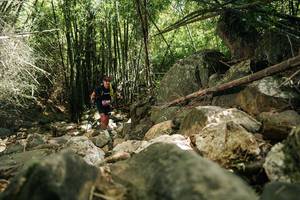 BIB: 
                            <button type="button" onclick="openModal(27939391)" class="btn btn-primary btn-sm float-right btn-popup" data-toggle="modal" data-target=".modal-high-quality">
                        <i class="fas fa-shopping-cart"></i> Add to Cart
                    </button>
                                            <button type="button" onclick="isThisMe(27939391, true)" class="btn btn-success btn-sm float-right btn-popup btn-isme hidden" data-toggle="tooltip" data-placement="bottom" title="นี่คือรูปของคุณใช่ไหม คลิกที่นี่เพื่อเอาเข้าอัลบั้ม">
                        <i class="fas fa-plus"></i> Add to album
                    </button>
                    <button type="button" onclick="isThisMe(27939391, false)" class="btn btn-warning btn-sm float-right btn-popup btn-isnotme hidden">
                        <i class="fas fa-ban"></i> Remove from album
                    </button>