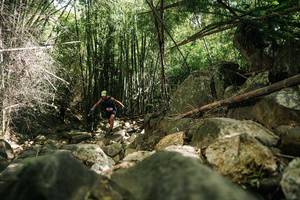 BIB: 
                            <button type="button" onclick="openModal(27939479)" class="btn btn-primary btn-sm float-right btn-popup" data-toggle="modal" data-target=".modal-high-quality">
                        <i class="fas fa-shopping-cart"></i> Add to Cart
                    </button>
                                            <button type="button" onclick="isThisMe(27939479, true)" class="btn btn-success btn-sm float-right btn-popup btn-isme hidden" data-toggle="tooltip" data-placement="bottom" title="นี่คือรูปของคุณใช่ไหม คลิกที่นี่เพื่อเอาเข้าอัลบั้ม">
                        <i class="fas fa-plus"></i> Add to album
                    </button>
                    <button type="button" onclick="isThisMe(27939479, false)" class="btn btn-warning btn-sm float-right btn-popup btn-isnotme hidden">
                        <i class="fas fa-ban"></i> Remove from album
                    </button>