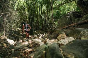 BIB: 
                            <button type="button" onclick="openModal(27938788)" class="btn btn-primary btn-sm float-right btn-popup" data-toggle="modal" data-target=".modal-high-quality">
                        <i class="fas fa-shopping-cart"></i> Add to Cart
                    </button>
                                            <button type="button" onclick="isThisMe(27938788, true)" class="btn btn-success btn-sm float-right btn-popup btn-isme hidden" data-toggle="tooltip" data-placement="bottom" title="นี่คือรูปของคุณใช่ไหม คลิกที่นี่เพื่อเอาเข้าอัลบั้ม">
                        <i class="fas fa-plus"></i> Add to album
                    </button>
                    <button type="button" onclick="isThisMe(27938788, false)" class="btn btn-warning btn-sm float-right btn-popup btn-isnotme hidden">
                        <i class="fas fa-ban"></i> Remove from album
                    </button>