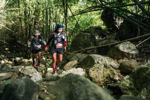 BIB: 
                            <button type="button" onclick="openModal(27940735)" class="btn btn-primary btn-sm float-right btn-popup" data-toggle="modal" data-target=".modal-high-quality">
                        <i class="fas fa-shopping-cart"></i> Add to Cart
                    </button>
                                            <button type="button" onclick="isThisMe(27940735, true)" class="btn btn-success btn-sm float-right btn-popup btn-isme hidden" data-toggle="tooltip" data-placement="bottom" title="นี่คือรูปของคุณใช่ไหม คลิกที่นี่เพื่อเอาเข้าอัลบั้ม">
                        <i class="fas fa-plus"></i> Add to album
                    </button>
                    <button type="button" onclick="isThisMe(27940735, false)" class="btn btn-warning btn-sm float-right btn-popup btn-isnotme hidden">
                        <i class="fas fa-ban"></i> Remove from album
                    </button>