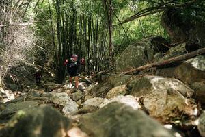 BIB: 
                            <button type="button" onclick="openModal(27939337)" class="btn btn-primary btn-sm float-right btn-popup" data-toggle="modal" data-target=".modal-high-quality">
                        <i class="fas fa-shopping-cart"></i> Add to Cart
                    </button>
                                            <button type="button" onclick="isThisMe(27939337, true)" class="btn btn-success btn-sm float-right btn-popup btn-isme hidden" data-toggle="tooltip" data-placement="bottom" title="นี่คือรูปของคุณใช่ไหม คลิกที่นี่เพื่อเอาเข้าอัลบั้ม">
                        <i class="fas fa-plus"></i> Add to album
                    </button>
                    <button type="button" onclick="isThisMe(27939337, false)" class="btn btn-warning btn-sm float-right btn-popup btn-isnotme hidden">
                        <i class="fas fa-ban"></i> Remove from album
                    </button>