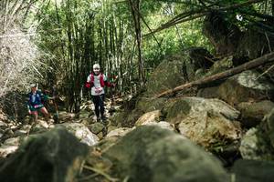 BIB: 
                            <button type="button" onclick="openModal(27939755)" class="btn btn-primary btn-sm float-right btn-popup" data-toggle="modal" data-target=".modal-high-quality">
                        <i class="fas fa-shopping-cart"></i> Add to Cart
                    </button>
                                            <button type="button" onclick="isThisMe(27939755, true)" class="btn btn-success btn-sm float-right btn-popup btn-isme hidden" data-toggle="tooltip" data-placement="bottom" title="นี่คือรูปของคุณใช่ไหม คลิกที่นี่เพื่อเอาเข้าอัลบั้ม">
                        <i class="fas fa-plus"></i> Add to album
                    </button>
                    <button type="button" onclick="isThisMe(27939755, false)" class="btn btn-warning btn-sm float-right btn-popup btn-isnotme hidden">
                        <i class="fas fa-ban"></i> Remove from album
                    </button>