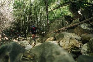 BIB: 
                            <button type="button" onclick="openModal(27940300)" class="btn btn-primary btn-sm float-right btn-popup" data-toggle="modal" data-target=".modal-high-quality">
                        <i class="fas fa-shopping-cart"></i> Add to Cart
                    </button>
                                            <button type="button" onclick="isThisMe(27940300, true)" class="btn btn-success btn-sm float-right btn-popup btn-isme hidden" data-toggle="tooltip" data-placement="bottom" title="นี่คือรูปของคุณใช่ไหม คลิกที่นี่เพื่อเอาเข้าอัลบั้ม">
                        <i class="fas fa-plus"></i> Add to album
                    </button>
                    <button type="button" onclick="isThisMe(27940300, false)" class="btn btn-warning btn-sm float-right btn-popup btn-isnotme hidden">
                        <i class="fas fa-ban"></i> Remove from album
                    </button>