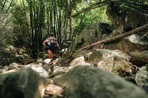 BIB: 
                            <button type="button" onclick="openModal(27938687)" class="btn btn-primary btn-sm float-right btn-popup" data-toggle="modal" data-target=".modal-high-quality">
                        <i class="fas fa-shopping-cart"></i> Add to Cart
                    </button>
                                            <button type="button" onclick="isThisMe(27938687, true)" class="btn btn-success btn-sm float-right btn-popup btn-isme hidden" data-toggle="tooltip" data-placement="bottom" title="นี่คือรูปของคุณใช่ไหม คลิกที่นี่เพื่อเอาเข้าอัลบั้ม">
                        <i class="fas fa-plus"></i> Add to album
                    </button>
                    <button type="button" onclick="isThisMe(27938687, false)" class="btn btn-warning btn-sm float-right btn-popup btn-isnotme hidden">
                        <i class="fas fa-ban"></i> Remove from album
                    </button>