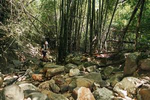 BIB: 
                            <button type="button" onclick="openModal(27938558)" class="btn btn-primary btn-sm float-right btn-popup" data-toggle="modal" data-target=".modal-high-quality">
                        <i class="fas fa-shopping-cart"></i> Add to Cart
                    </button>
                                            <button type="button" onclick="isThisMe(27938558, true)" class="btn btn-success btn-sm float-right btn-popup btn-isme hidden" data-toggle="tooltip" data-placement="bottom" title="นี่คือรูปของคุณใช่ไหม คลิกที่นี่เพื่อเอาเข้าอัลบั้ม">
                        <i class="fas fa-plus"></i> Add to album
                    </button>
                    <button type="button" onclick="isThisMe(27938558, false)" class="btn btn-warning btn-sm float-right btn-popup btn-isnotme hidden">
                        <i class="fas fa-ban"></i> Remove from album
                    </button>