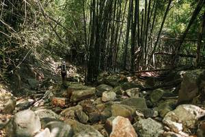 BIB: 
                            <button type="button" onclick="openModal(27938554)" class="btn btn-primary btn-sm float-right btn-popup" data-toggle="modal" data-target=".modal-high-quality">
                        <i class="fas fa-shopping-cart"></i> Add to Cart
                    </button>
                                            <button type="button" onclick="isThisMe(27938554, true)" class="btn btn-success btn-sm float-right btn-popup btn-isme hidden" data-toggle="tooltip" data-placement="bottom" title="นี่คือรูปของคุณใช่ไหม คลิกที่นี่เพื่อเอาเข้าอัลบั้ม">
                        <i class="fas fa-plus"></i> Add to album
                    </button>
                    <button type="button" onclick="isThisMe(27938554, false)" class="btn btn-warning btn-sm float-right btn-popup btn-isnotme hidden">
                        <i class="fas fa-ban"></i> Remove from album
                    </button>