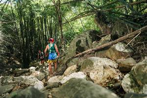 BIB: 
                            <button type="button" onclick="openModal(27939178)" class="btn btn-primary btn-sm float-right btn-popup" data-toggle="modal" data-target=".modal-high-quality">
                        <i class="fas fa-shopping-cart"></i> Add to Cart
                    </button>
                                            <button type="button" onclick="isThisMe(27939178, true)" class="btn btn-success btn-sm float-right btn-popup btn-isme hidden" data-toggle="tooltip" data-placement="bottom" title="นี่คือรูปของคุณใช่ไหม คลิกที่นี่เพื่อเอาเข้าอัลบั้ม">
                        <i class="fas fa-plus"></i> Add to album
                    </button>
                    <button type="button" onclick="isThisMe(27939178, false)" class="btn btn-warning btn-sm float-right btn-popup btn-isnotme hidden">
                        <i class="fas fa-ban"></i> Remove from album
                    </button>