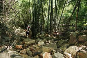 BIB: 
                            <button type="button" onclick="openModal(27938561)" class="btn btn-primary btn-sm float-right btn-popup" data-toggle="modal" data-target=".modal-high-quality">
                        <i class="fas fa-shopping-cart"></i> Add to Cart
                    </button>
                                            <button type="button" onclick="isThisMe(27938561, true)" class="btn btn-success btn-sm float-right btn-popup btn-isme hidden" data-toggle="tooltip" data-placement="bottom" title="นี่คือรูปของคุณใช่ไหม คลิกที่นี่เพื่อเอาเข้าอัลบั้ม">
                        <i class="fas fa-plus"></i> Add to album
                    </button>
                    <button type="button" onclick="isThisMe(27938561, false)" class="btn btn-warning btn-sm float-right btn-popup btn-isnotme hidden">
                        <i class="fas fa-ban"></i> Remove from album
                    </button>