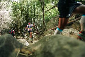 BIB: 
                            <button type="button" onclick="openModal(27940001)" class="btn btn-primary btn-sm float-right btn-popup" data-toggle="modal" data-target=".modal-high-quality">
                        <i class="fas fa-shopping-cart"></i> Add to Cart
                    </button>
                                            <button type="button" onclick="isThisMe(27940001, true)" class="btn btn-success btn-sm float-right btn-popup btn-isme hidden" data-toggle="tooltip" data-placement="bottom" title="นี่คือรูปของคุณใช่ไหม คลิกที่นี่เพื่อเอาเข้าอัลบั้ม">
                        <i class="fas fa-plus"></i> Add to album
                    </button>
                    <button type="button" onclick="isThisMe(27940001, false)" class="btn btn-warning btn-sm float-right btn-popup btn-isnotme hidden">
                        <i class="fas fa-ban"></i> Remove from album
                    </button>