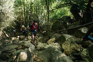 BIB: 
                            <button type="button" onclick="openModal(27940491)" class="btn btn-primary btn-sm float-right btn-popup" data-toggle="modal" data-target=".modal-high-quality">
                        <i class="fas fa-shopping-cart"></i> Add to Cart
                    </button>
                                            <button type="button" onclick="isThisMe(27940491, true)" class="btn btn-success btn-sm float-right btn-popup btn-isme hidden" data-toggle="tooltip" data-placement="bottom" title="นี่คือรูปของคุณใช่ไหม คลิกที่นี่เพื่อเอาเข้าอัลบั้ม">
                        <i class="fas fa-plus"></i> Add to album
                    </button>
                    <button type="button" onclick="isThisMe(27940491, false)" class="btn btn-warning btn-sm float-right btn-popup btn-isnotme hidden">
                        <i class="fas fa-ban"></i> Remove from album
                    </button>