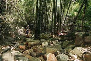 BIB: 
                            <button type="button" onclick="openModal(27938560)" class="btn btn-primary btn-sm float-right btn-popup" data-toggle="modal" data-target=".modal-high-quality">
                        <i class="fas fa-shopping-cart"></i> Add to Cart
                    </button>
                                            <button type="button" onclick="isThisMe(27938560, true)" class="btn btn-success btn-sm float-right btn-popup btn-isme hidden" data-toggle="tooltip" data-placement="bottom" title="นี่คือรูปของคุณใช่ไหม คลิกที่นี่เพื่อเอาเข้าอัลบั้ม">
                        <i class="fas fa-plus"></i> Add to album
                    </button>
                    <button type="button" onclick="isThisMe(27938560, false)" class="btn btn-warning btn-sm float-right btn-popup btn-isnotme hidden">
                        <i class="fas fa-ban"></i> Remove from album
                    </button>