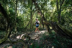 BIB: 
                            <button type="button" onclick="openModal(28070508)" class="btn btn-primary btn-sm float-right btn-popup" data-toggle="modal" data-target=".modal-high-quality">
                        <i class="fas fa-shopping-cart"></i> Add to Cart
                    </button>
                                            <button type="button" onclick="isThisMe(28070508, true)" class="btn btn-success btn-sm float-right btn-popup btn-isme hidden" data-toggle="tooltip" data-placement="bottom" title="นี่คือรูปของคุณใช่ไหม คลิกที่นี่เพื่อเอาเข้าอัลบั้ม">
                        <i class="fas fa-plus"></i> Add to album
                    </button>
                    <button type="button" onclick="isThisMe(28070508, false)" class="btn btn-warning btn-sm float-right btn-popup btn-isnotme hidden">
                        <i class="fas fa-ban"></i> Remove from album
                    </button>