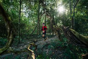 BIB: 
                            <button type="button" onclick="openModal(27954095)" class="btn btn-primary btn-sm float-right btn-popup" data-toggle="modal" data-target=".modal-high-quality">
                        <i class="fas fa-shopping-cart"></i> Add to Cart
                    </button>
                                            <button type="button" onclick="isThisMe(27954095, true)" class="btn btn-success btn-sm float-right btn-popup btn-isme hidden" data-toggle="tooltip" data-placement="bottom" title="นี่คือรูปของคุณใช่ไหม คลิกที่นี่เพื่อเอาเข้าอัลบั้ม">
                        <i class="fas fa-plus"></i> Add to album
                    </button>
                    <button type="button" onclick="isThisMe(27954095, false)" class="btn btn-warning btn-sm float-right btn-popup btn-isnotme hidden">
                        <i class="fas fa-ban"></i> Remove from album
                    </button>